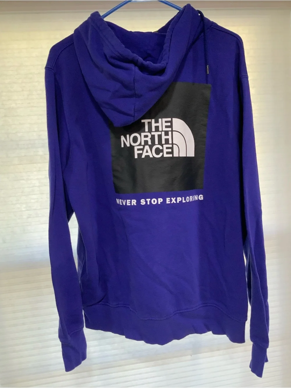 The North Face Men's Deep Purple Crewneck Hoodie